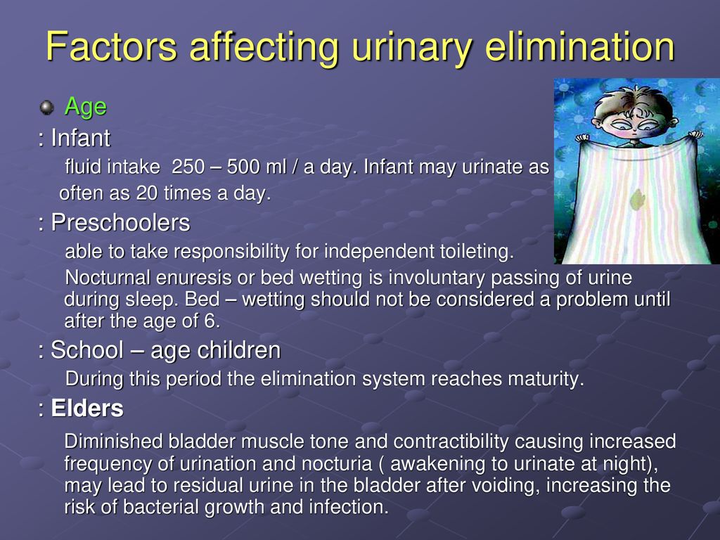 Promotion Urinary Elimination And The Nursing Process Ppt